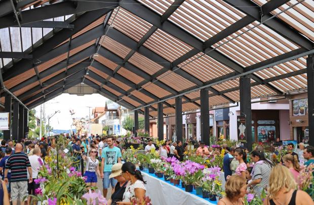 FOTO: Alessandro Wedig/Arquivo | Comunicação PMNP